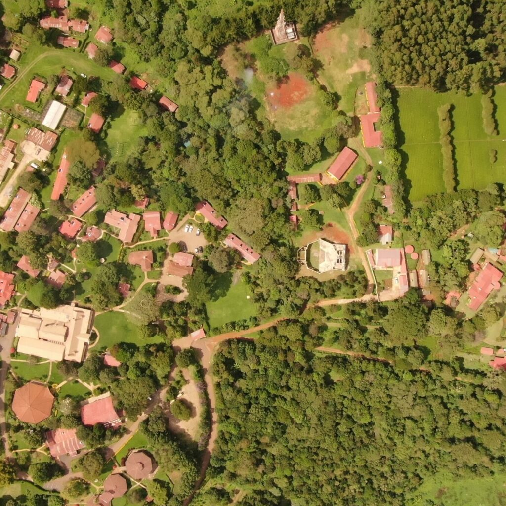 Transformational Learning Woodland Star