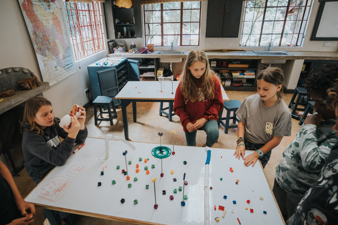 Transformational Learning Woodland Star